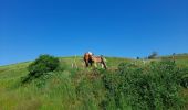 Tocht Stappen Le Puy-en-Velay - live Le Puy en velay - Saint Privat - Photo 2