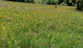 Trail Walking Goldbach-Altenbach - goldbach - Photo 15