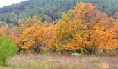 Percorso Marcia Lorgues - SityTrail - Le hameau de Sauveclare - Photo 3