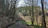 Randonnée Marche Bouillon - Promenade balisée 14 - Photo 4