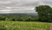 Trail Walking Durbuy - GR57 : BOMAL to MELREUX - Photo 14
