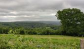 Tocht Stappen Durbuy - GR57 : BOMAL to MELREUX - Photo 14