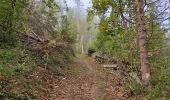 Tour Wandern Bédeilhac-et-Aynat - au pied du Calames - Photo 6