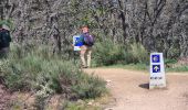 Trail Walking Santa Colomba de Somoza - vers El Acebo - Photo 9