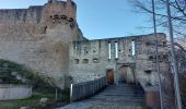 Randonnée Marche Husseren-les-Châteaux - Husseren les Châteaux - Photo 3