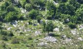Excursión Senderismo Courmes - Courmes. Saint Barnabé et le champ des Idoles - Photo 16