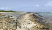 Tocht Stappen Saint-François - Guadeloupe - Pointe des Châteaux (2024) - Photo 17