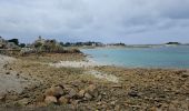 Trail Walking Plougrescant - 2023 RA Bretagne costarmoricaine Plougrescant - Trévou - Photo 20