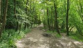 Trail Walking Ham-sur-Heure-Nalinnes - Adeps Jamioulx 230529 - Photo 4