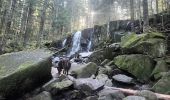 Randonnée Marche Gérardmer - Cascade /observatoire de Menelle  - Photo 8