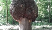 Tour Wandern Oissel - Oissel gare vers le catelier - Photo 3
