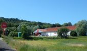 Tour Zu Fuß Wiesloch - Weinwanderweg Mannaberg - Photo 2