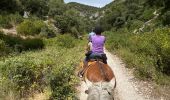 Trail Horseback riding Lauris - Provence 2025 J1 - Photo 4