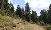 Trail Walking Chorges - au dessus de Chorges : Naume Raze . les Drayes . parking des Gardes . Forest Barthiers . Naume Raze - Photo 14