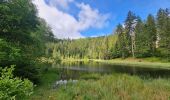 Trail Walking Bad Peterstal-Griesbach - Buhlbachsee & Lotharpfad - Photo 10