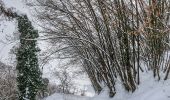 Tour Zu Fuß Castellarano - Croce di San Valentino - Montebabbio - Telarolo - Monte Maestà Bianca - Photo 7