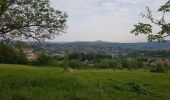 Tour Wandern Le Puy-en-Velay - Chemin de Stenvenson 1 - Photo 7