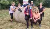Trail Walking Val-de-Vie - Ste  Foy de Montgommery - Photo 1