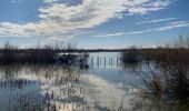Trail Walking Vauvert - Scamandre - Photo 2