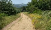 Percorso Marcia Fridefont - Magnan - Photo 6