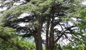 Randonnée Marche Sassenage - Tour de Combe Chaude + parc du château de Sassenage - Photo 2