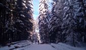 Trail Snowshoes Arc-sous-Cicon - ARC SOUS CICON 