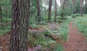 Tocht Stappen Le Gâvre - forêt du Gavre - Photo 2