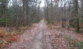 Trail Walking Verviers - mariomont - la gileppe aller via 