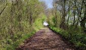 Randonnée Marche Houyet - Promenade de la Lesse (8,8 km)  - Photo 8