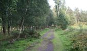 Percorso A piedi Stafford - Tolkien Trail Cannock Chase Walk - Photo 1