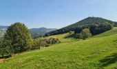 Trail Walking Lapoutroie - La tour du Faudé - Photo 14