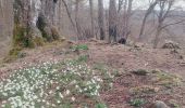 Randonnée Marche Durbuy - Barvaux Mon pelé  - Photo 4