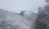 Trail Walking Lepuix - Rando raquettes Ballon d'Alsace depuis Saut de la Truite  - Photo 16