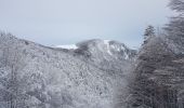 Tocht Stappen Lepuix - Rando raquettes Ballon d'Alsace depuis Saut de la Truite  - Photo 16