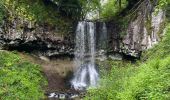 Randonnée Marche Laqueuille - L’Esparverie-Cascade de Trador-L’Esparverie - Photo 6