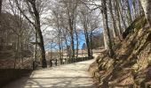 Tocht Te voet Chiusi della Verna - Il Sacro Monte della Verna e la cima del M. Penna - Photo 8