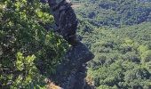 Tour Wandern Ménil-Hubert-sur-Orne - De Rouvroy aux Roches d'Oetre par le sentier des Méandres  - Photo 4