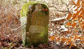 Tour Zu Fuß Gladenbach - Wollenbergweg - Photo 4