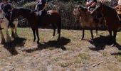 Tocht Paardrijden Saint-Léger-de-Rôtes - rando  equestre st leger de roste - Photo 6