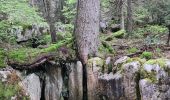 Tocht Stappen Autrans-Méaudre en Vercors - autrans - Photo 20