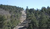 Excursión Senderismo Vaugines - SityTrail - PF-Vaugines - Le Mourre Nègre à partir de Vaugines - Var - Photo 5