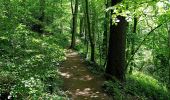 Tour Wandern Ferrières - Promenade des cretes - Photo 20