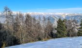 Randonnée Marche Thiéry - mont fracha et brec d illons  - Photo 2