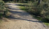 Tocht Stappen Bagnols-en-Forêt - Bagnols-en-Forêt la verrerie  - Photo 1