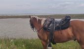 Trail Horseback riding Saintes-Maries-de-la-Mer - 2019-05-03 Rando CVA Camargue Saintes Plage Est - Photo 1