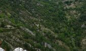 Trail Walking Castellane - Clot d'Aremus - Chasteuil - Chapelle St Jean - Castellane - Photo 6