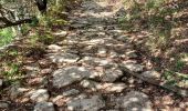 Randonnée Marche Buoux - APT,  Buous , circuit d Aigue Brun o l  - Photo 11