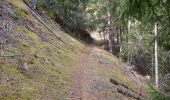 Tour Wandern Seyne - SEYNES . LA CABANE DU SERPENT O N  - Photo 4