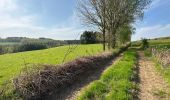 Trail Walking Daverdisse - Gembres 27,2 km - Photo 3