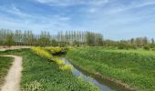 Tocht Stappen Tienen - S-GR Hageland : Tienen - Terhagen - Photo 6